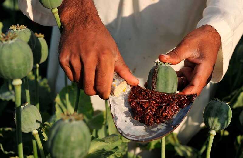 Belarus prosecutors drop charges against police linked to opium ring
