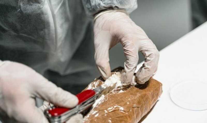 Europol cracks down on drug ring smuggling over a ton of cocaine to Europe