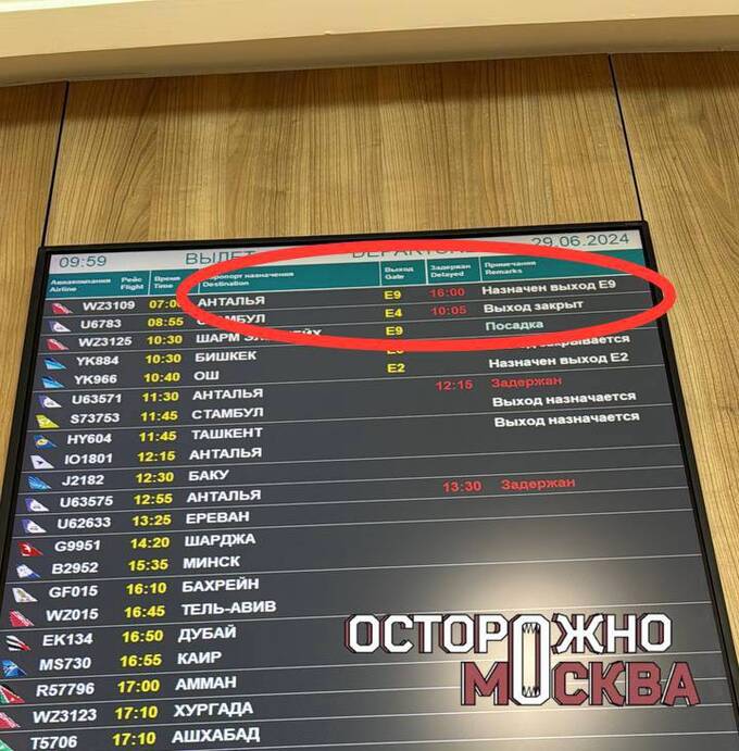В Домодедово пассажиры более 9 часов ждут вылета в Анталью qiddziqutiqxxkmp