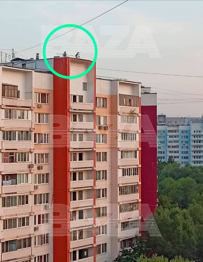 Детские шалости на крыше перепугали жителей Москвы kziqdxiqudiuhkmp