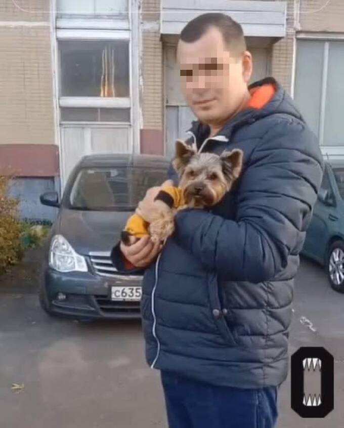 Житель Владимирской области убивает отца молотком из-за спора о войне quriqrxitxitdkmp