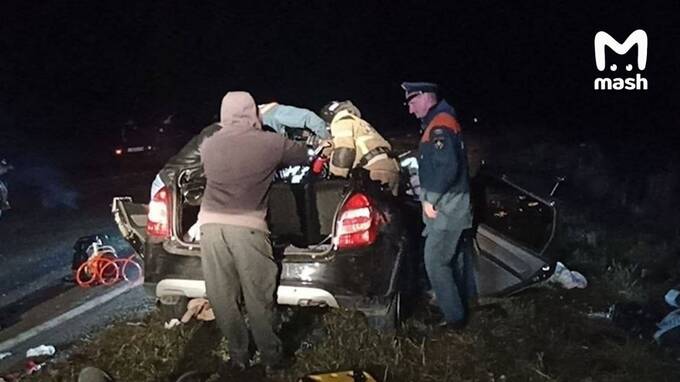 Лось стал причиной смертельной аварии на трассе в Омской области tidzxidexiqezkmp