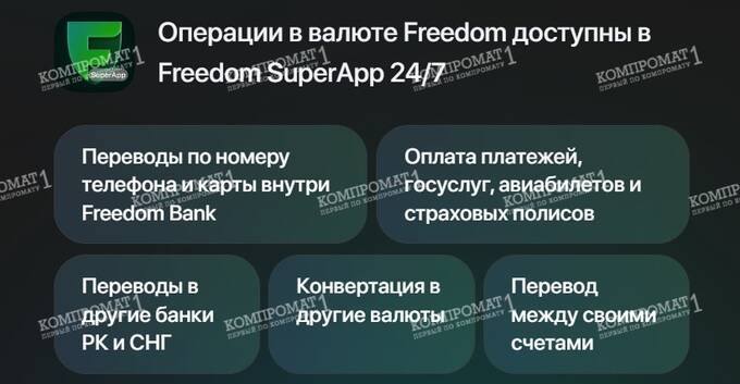 Инвестиционная валюта Freedom от Тимура Турлова: старая идея Мавроди в новом исполнении?