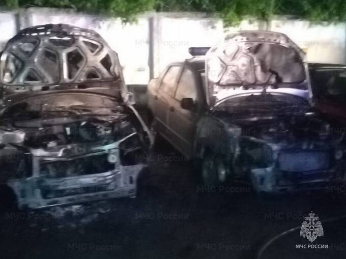 В Калужской области девушка подожгла пять машин Росгвардии и избила пострадавшего после ДТП