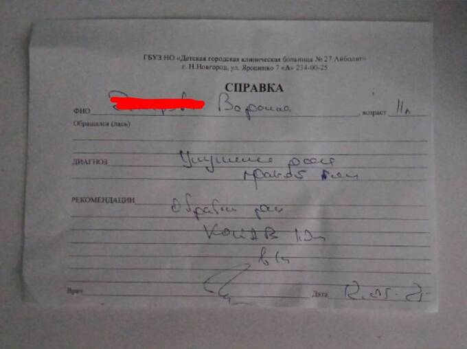 Собака атаковала школьницу на велосипеде в Нижегородской области qriddriqtziqutkmp