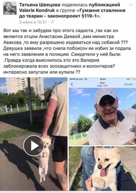Киевский живодер, избивший девушку, оказался отцом Анастасии Деевой - 50086 Киевский живодер, избивший девушку, оказался отцом Анастасии Деевой - фото 50086 dzqidrdietidqdglv