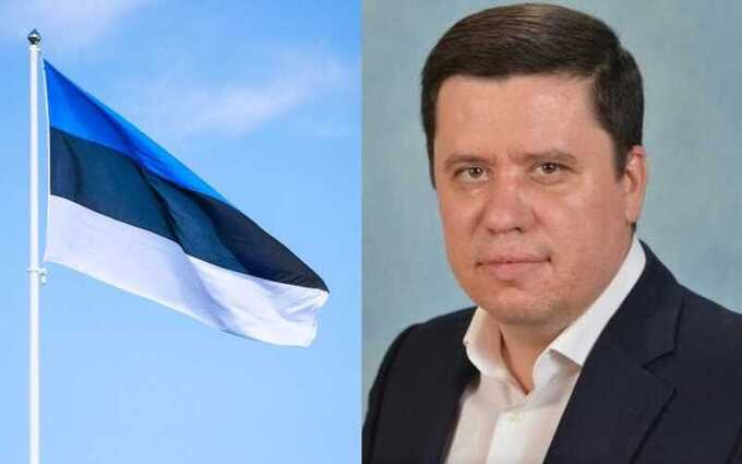 Связанного с холдингом «Ланит» краснодарского депутата Алексея Бердникова лишили мандата из-за счета жены в эстонском банке